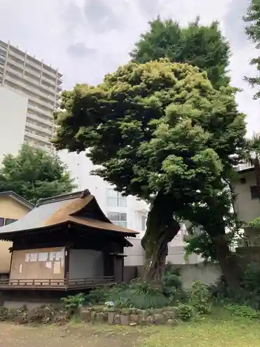 大森山王日枝神社(東京都)