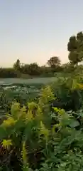 青龍神社の周辺