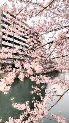 伊勢山皇大神宮の御朱印