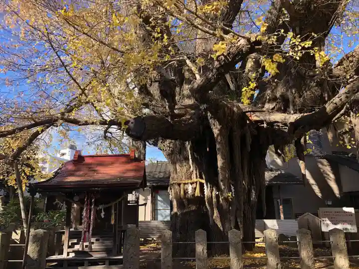 姥神神社(宮城県)