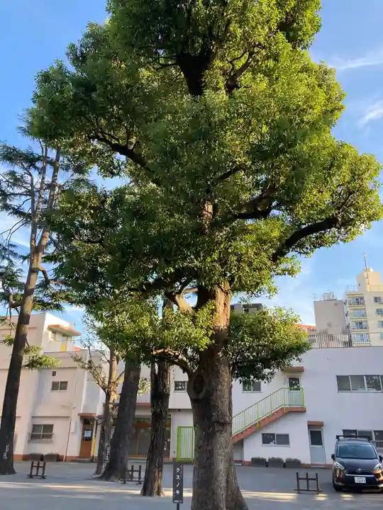 お三の宮日枝神社の自然