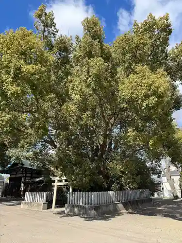 金岡神社(大阪府)