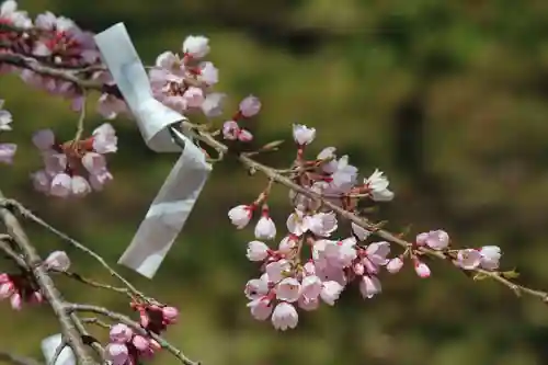 国宝 大法寺の自然