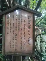 幣立神宮(熊本県)