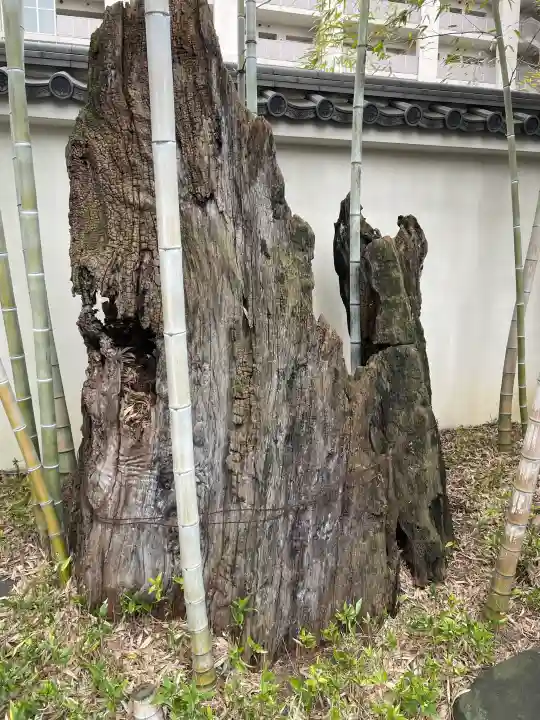 源長寺の{uncategorized: "未分類", other: "その他", undefined: "問題あり", building: "その他建物", grave: "お墓", sacred_gate: "鳥居", guardian: "狛犬", statue: "像", buddha: "仏像", history: "歴史", nature: "自然", garden: "庭園", animal: "動物", pagoda: "塔", temizu: "手水舎", mountain_gate: "山門・神門", sanctuary: "本殿・本堂", subordinate: "末社・摂社", art: "芸術", scenery: "景色", jizo: "地蔵", ema: "絵馬", goshuin: "御朱印", omikuji: "おみくじ", items: "授与品その他", amulet: "お守り", goshuincho: "御朱印帳", eats: "食事", festival: "お祭り", votive_dance: "神楽", shichigosan: "七五三参", wedding: "結婚式", experience: "体験その他", initially: "初詣", around: "周辺", anti_infection: "感染症対策"}