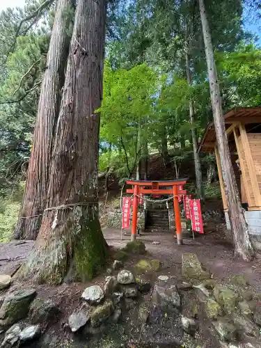 金櫻神社(山梨県)