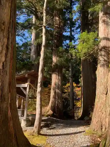 白山中居神社の自然