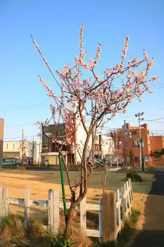 志波彦神社・鹽竈神社の周辺