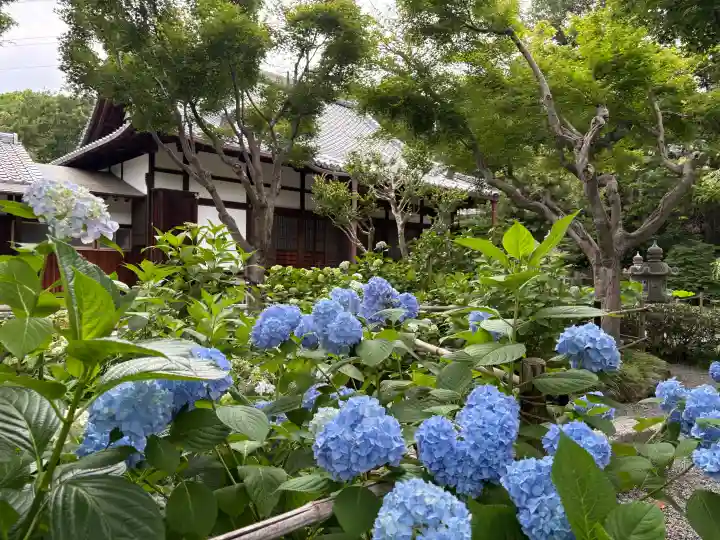 頼光寺(兵庫県)