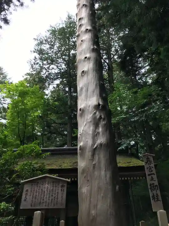 諏訪大社下社春宮(長野県)