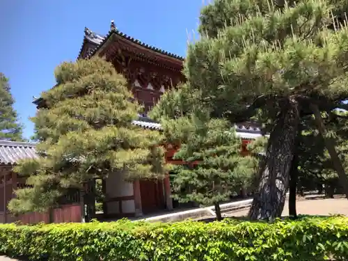 大徳寺(京都府)