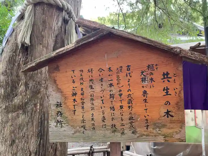 大宮八幡宮の歴史