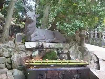 春日大社の手水舎