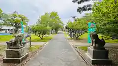 天満神社(福井県)