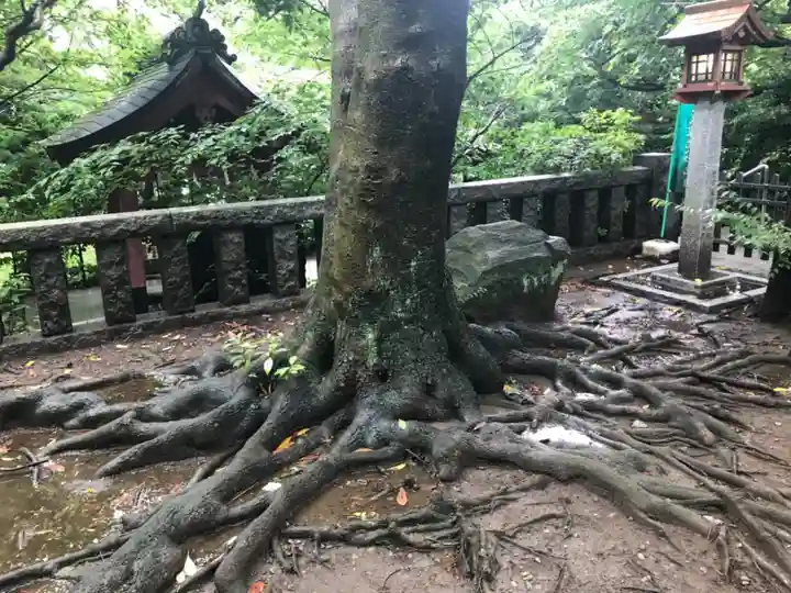 芝東照宮の自然