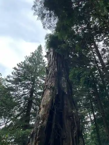 日光東照宮奥宮拝殿(栃木県)