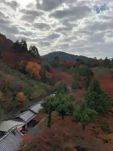 清水寺の景色