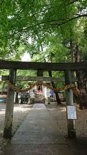 下野 星宮神社の鳥居