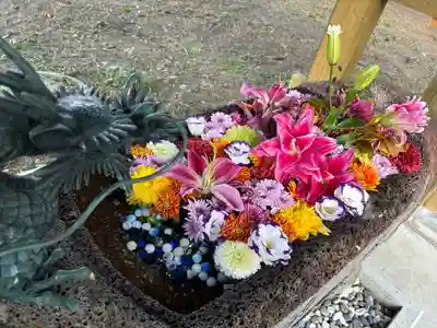 帯広三吉神社の手水舎