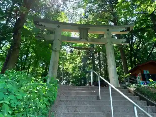 宝登山神社の鳥居