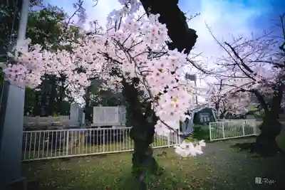 大阪護國神社(大阪府)