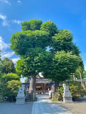 亀ケ池八幡宮のその他建物
