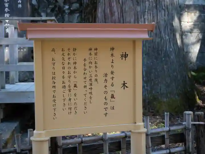 三峯神社(埼玉県)