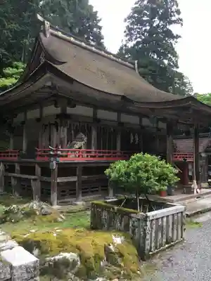 日吉大社の本殿・本堂