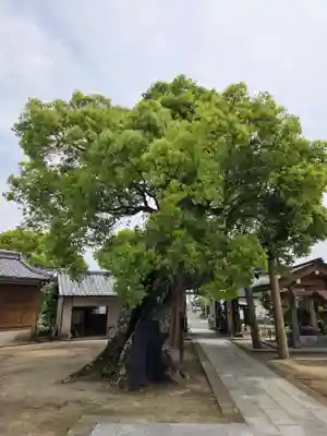 新北神社(佐賀県)