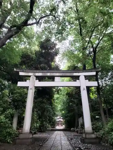 代々木八幡宮の鳥居