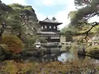 慈照寺(慈照禅寺・銀閣寺)(京都府)