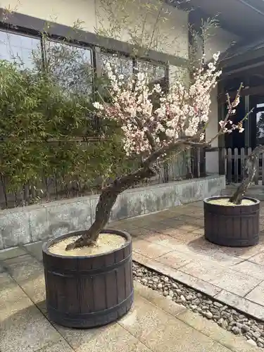 岩津天満宮の自然