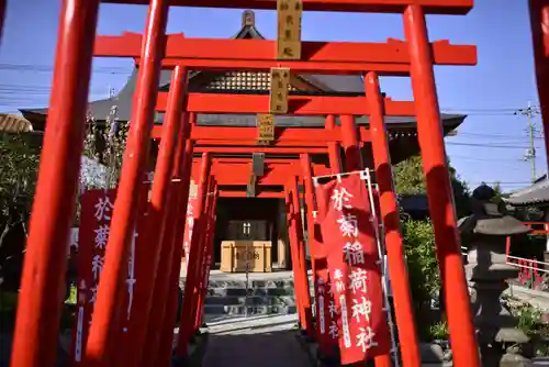 於菊稲荷神社の鳥居