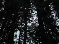 大宮温泉神社(栃木県)