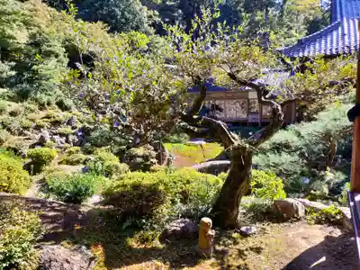 吸湖山 青岸寺の庭園