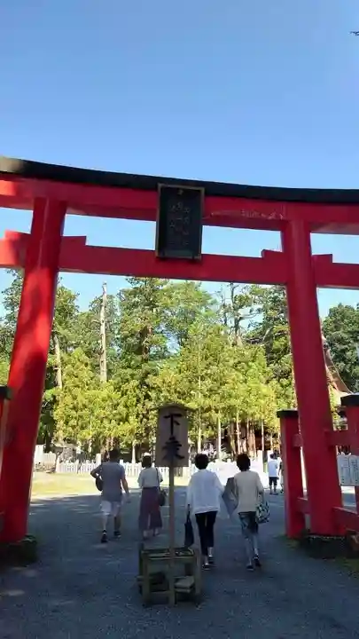出羽神社(出羽三山神社)~三神合祭殿~の鳥居