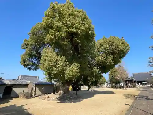 金倉寺(香川県)