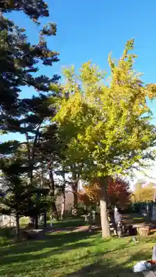 大江神社(北海道)