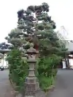 本行寺(青森県)