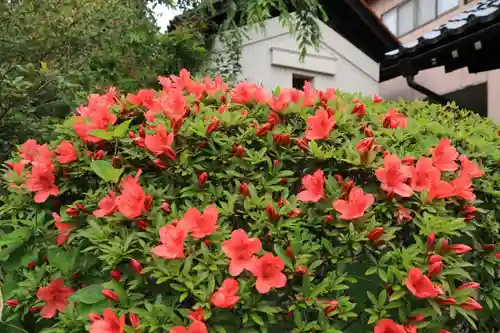 豊景神社の庭園