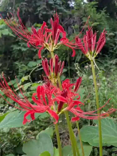 石内のお大師さん　金剛院(広島県)
