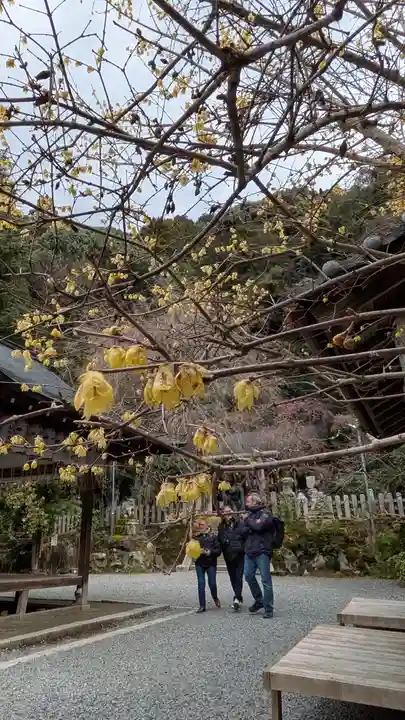 大豊神社(京都府)