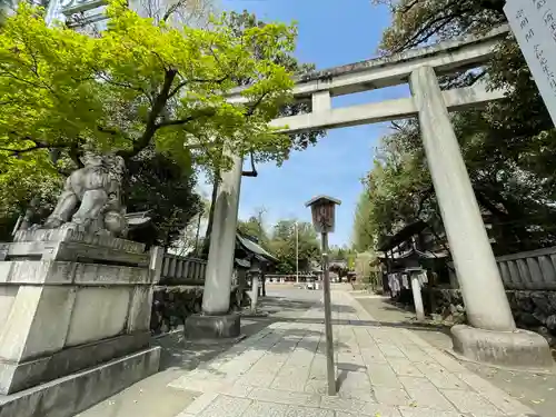 秩父神社の鳥居