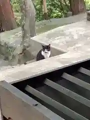 玉野御嶽神社の動物