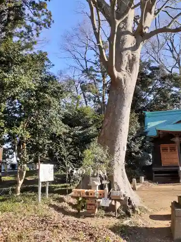 酒門神社の自然