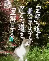 専念寺(大阪府)