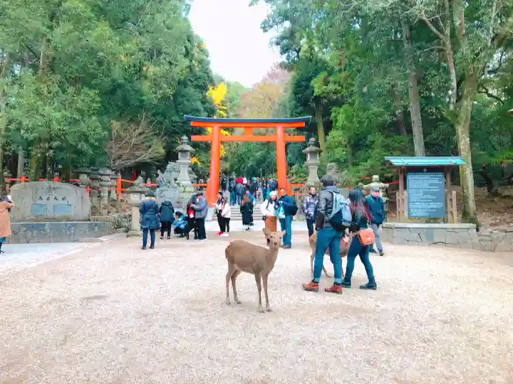 春日大社(奈良県)