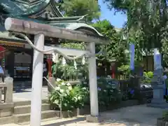 川越八幡宮(埼玉県)