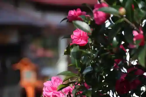 大鏑神社の庭園