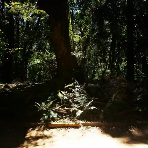 鹿島神宮の自然